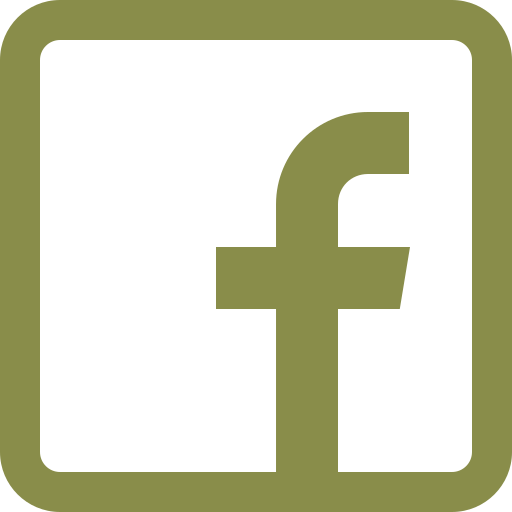 The image you've provided appears to be the logo of Facebook, a social media platform. However, I can't view images in this format. If you have a different type of query or perhaps an